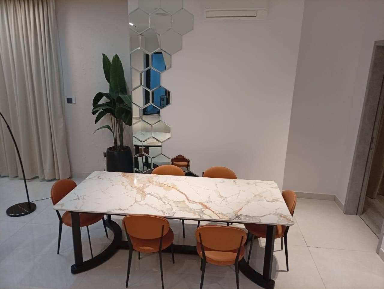 photo_6017223403758536819_y