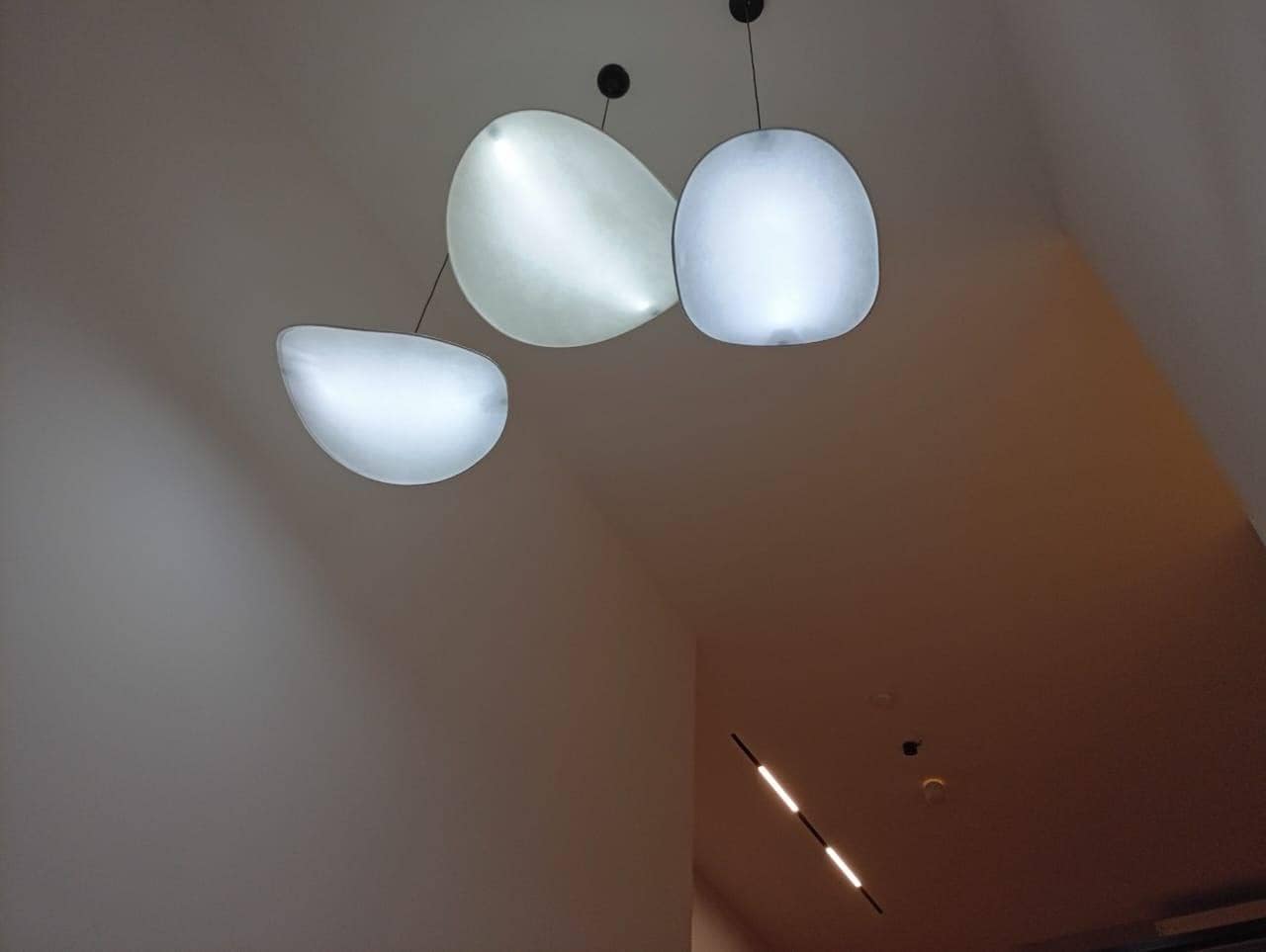 photo_6017223403758536821_y