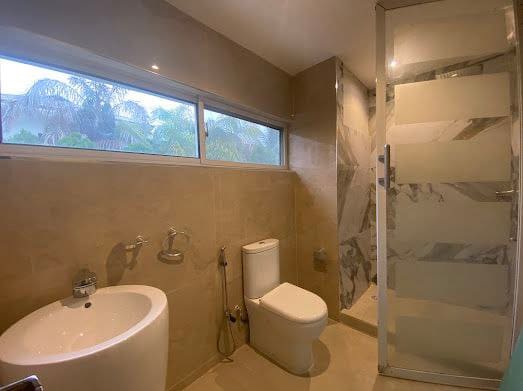 photo_6048465687363128446_x