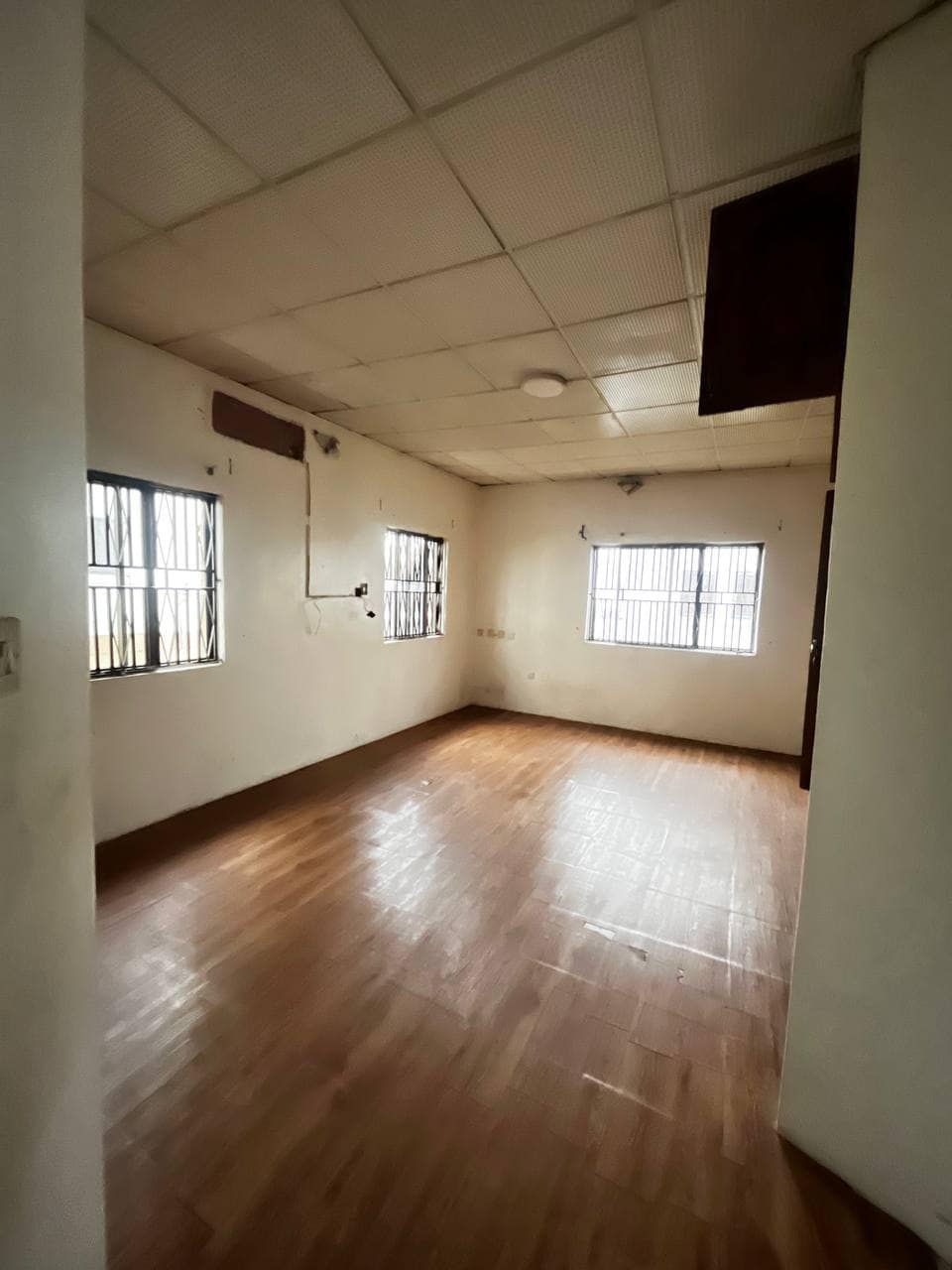 photo_5766994670612319344_y