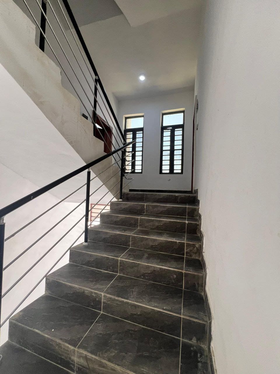 photo_6023899694196967697_y