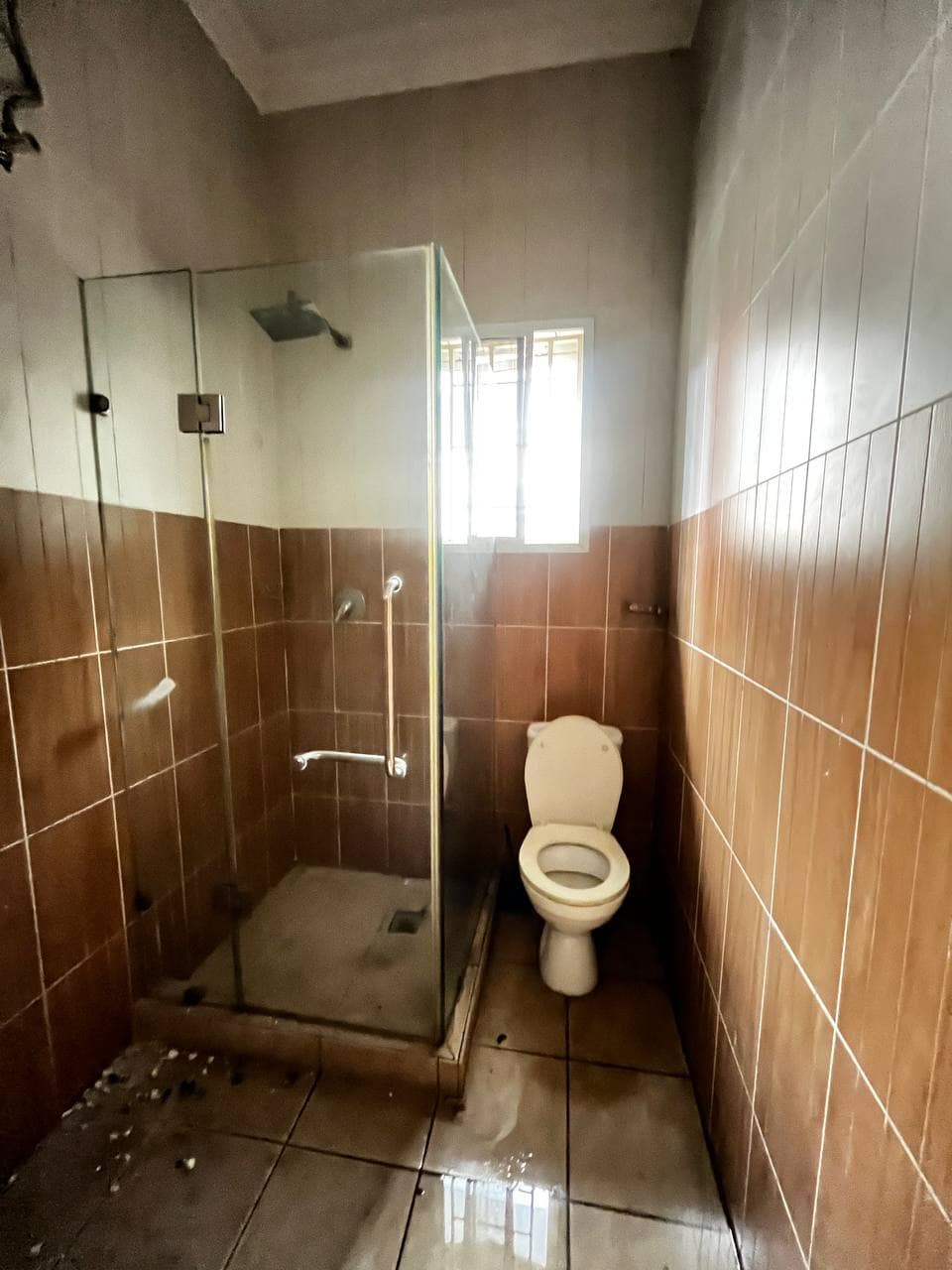 photo_6026217769650996953_y