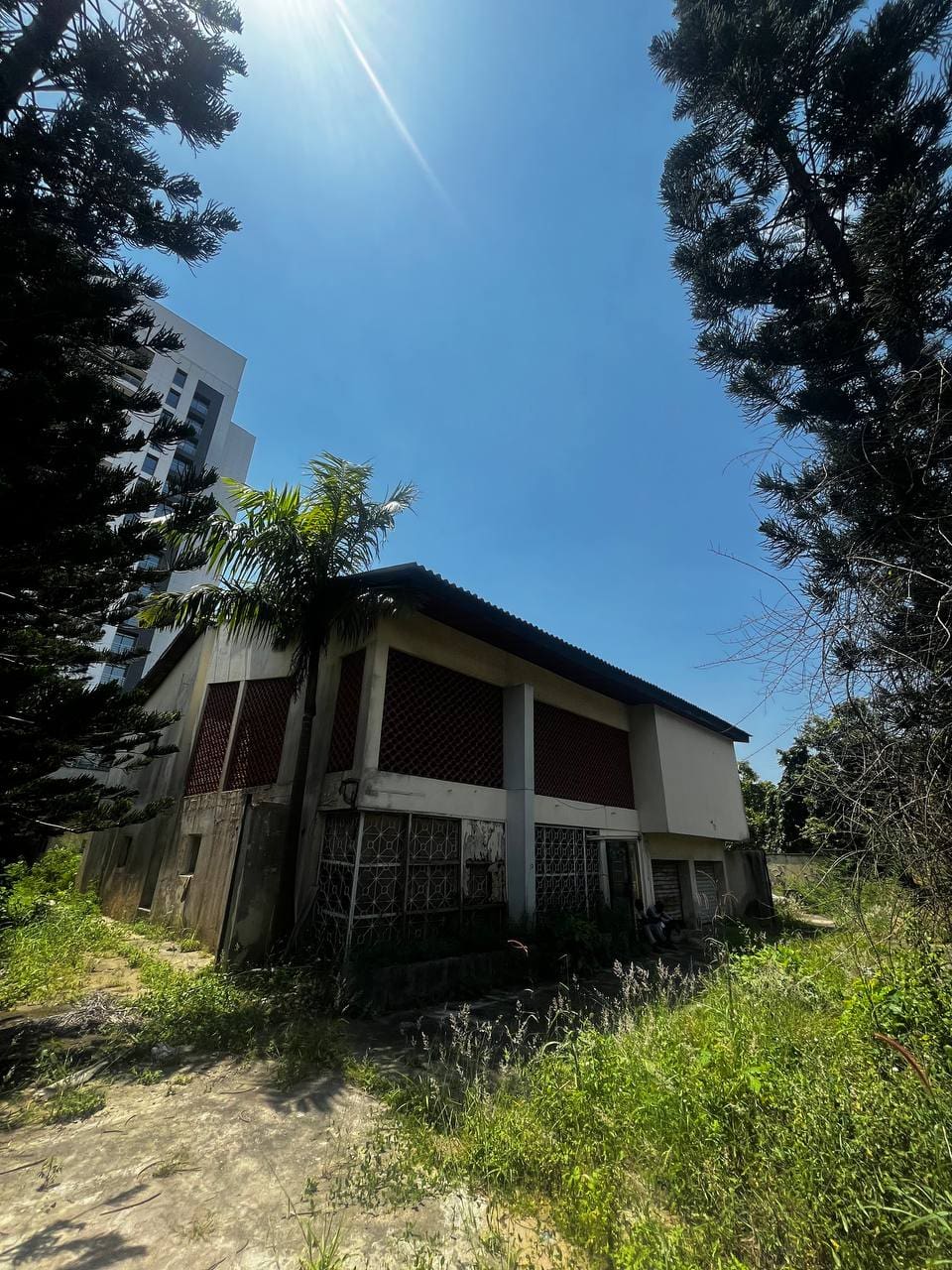 photo_6035022547100830667_y