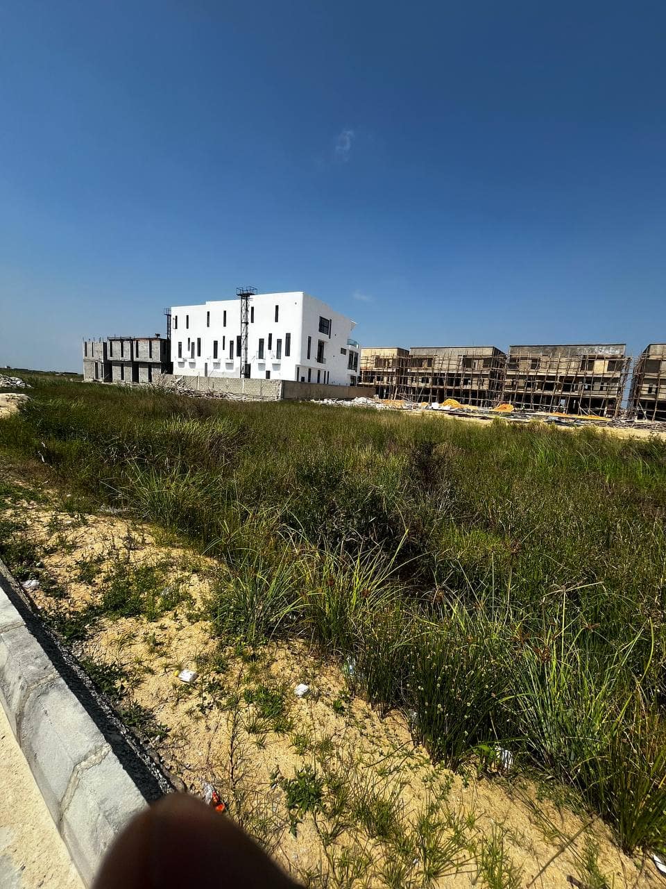 photo_6035022547100830673_y