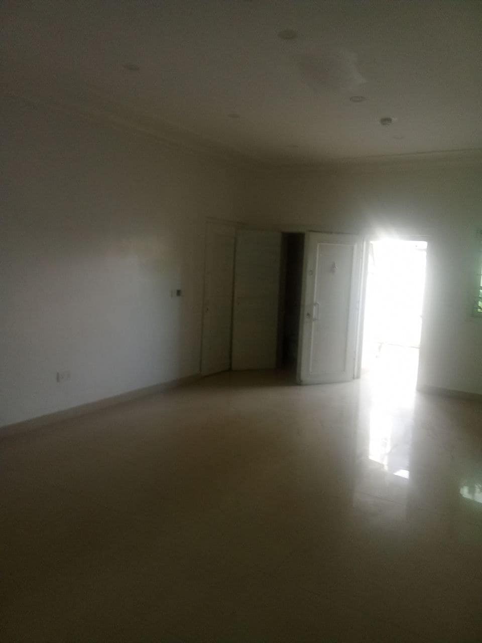 photo_6037247941455580219_y