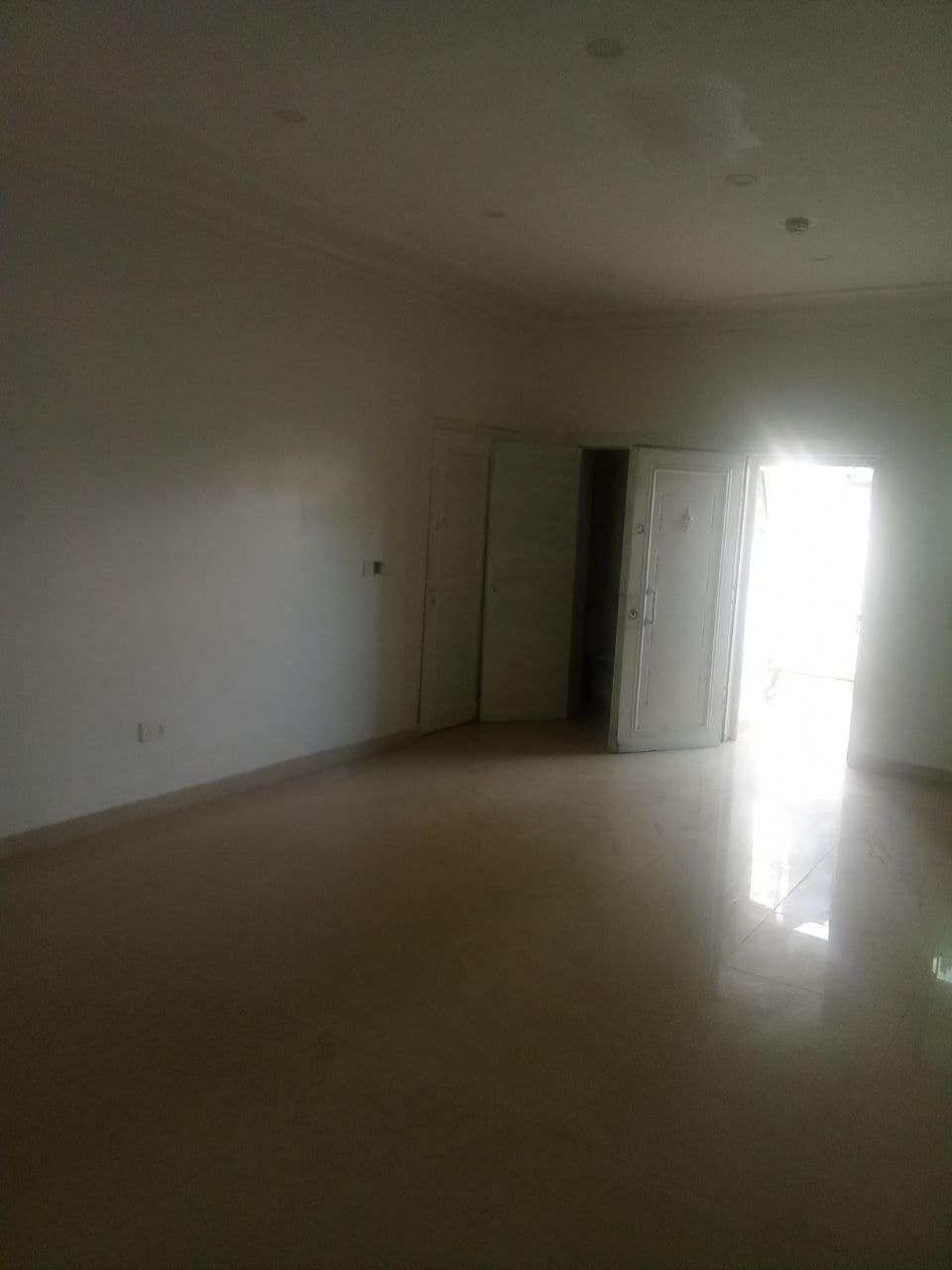 photo_6037247941455580220_y