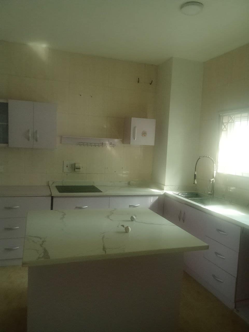 photo_6037247941455580221_y