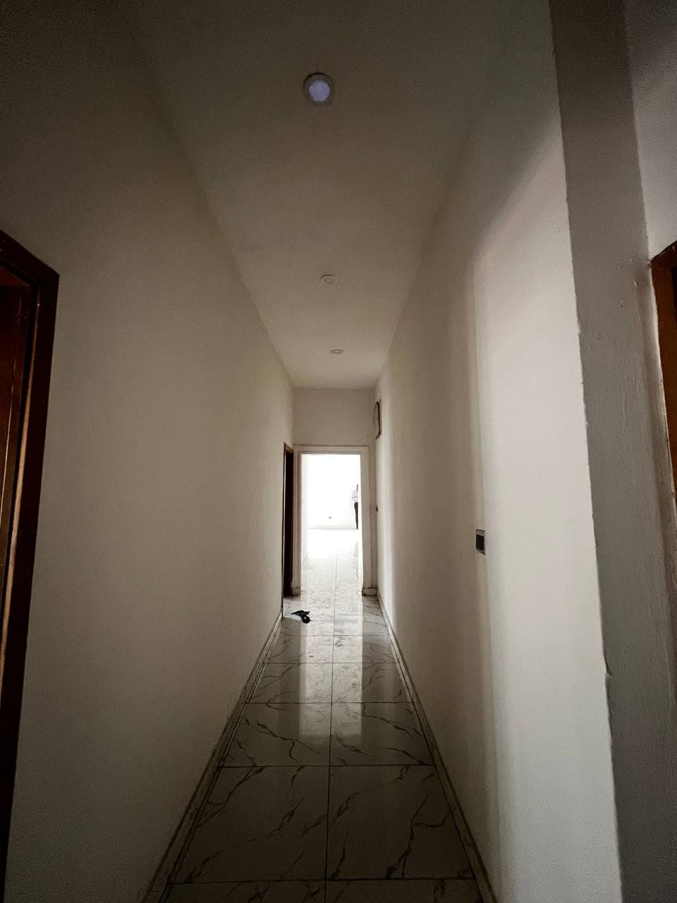 photo_6039499741269265382_y