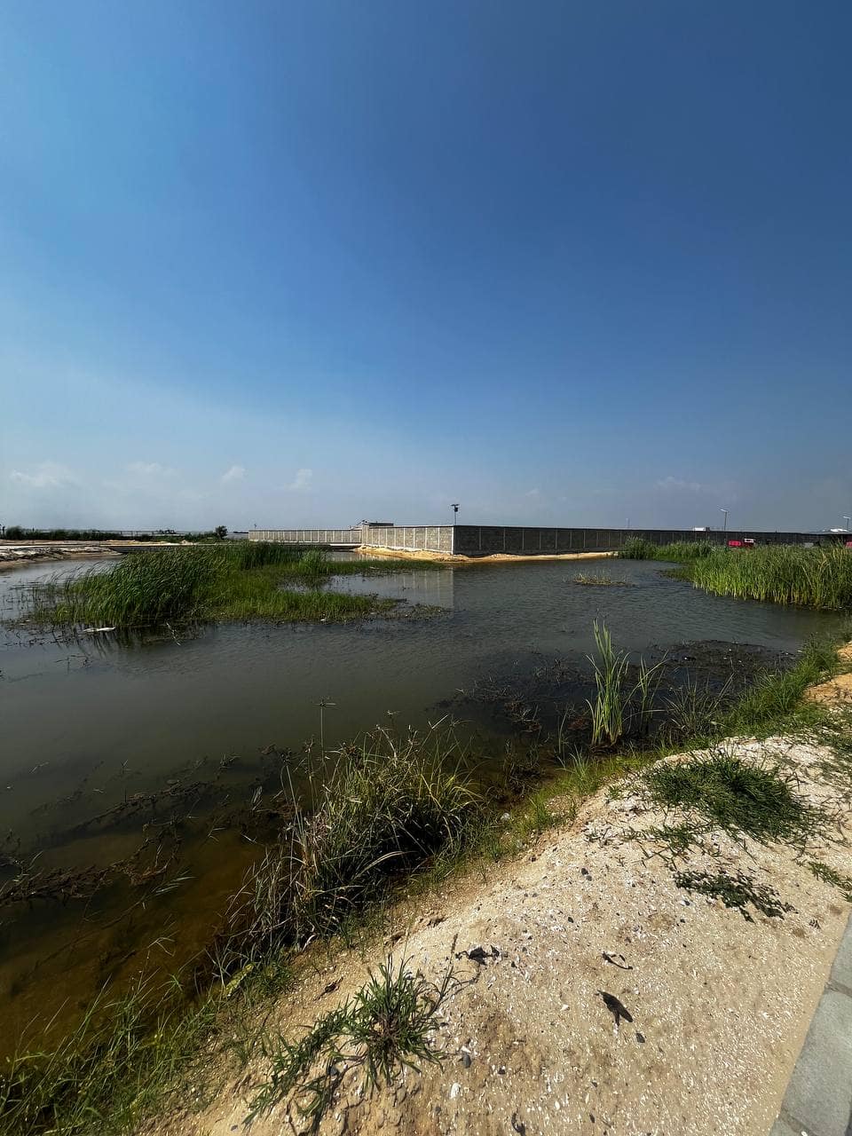 photo_6039499741269265470_y