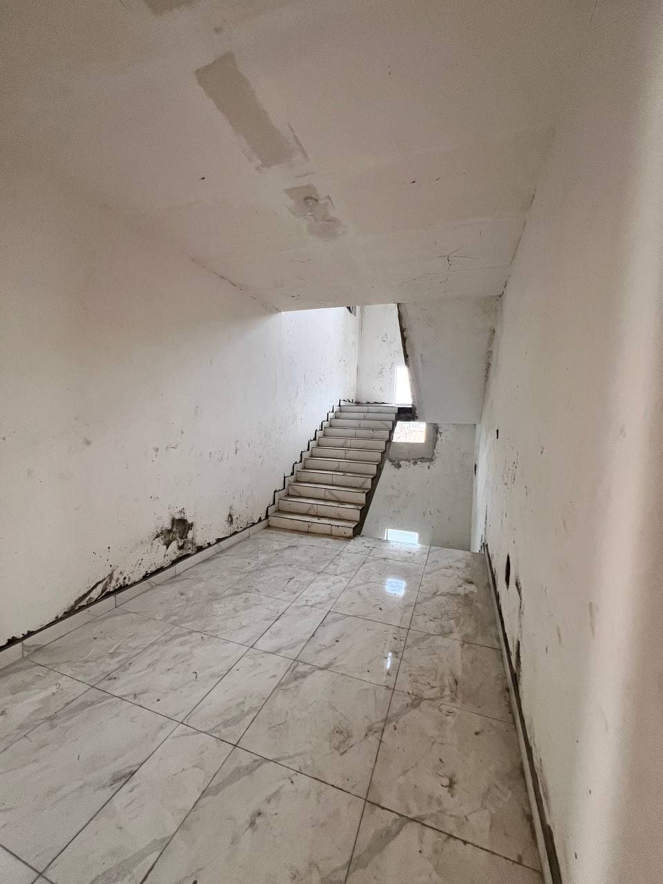 photo_6044223702783691738_y