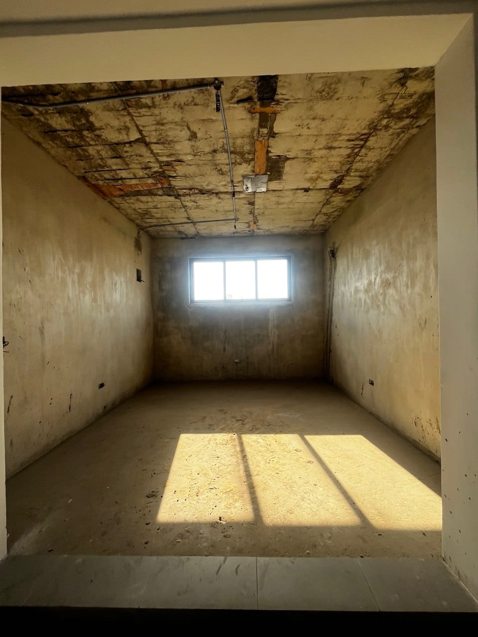 photo_6044223702783691800_y