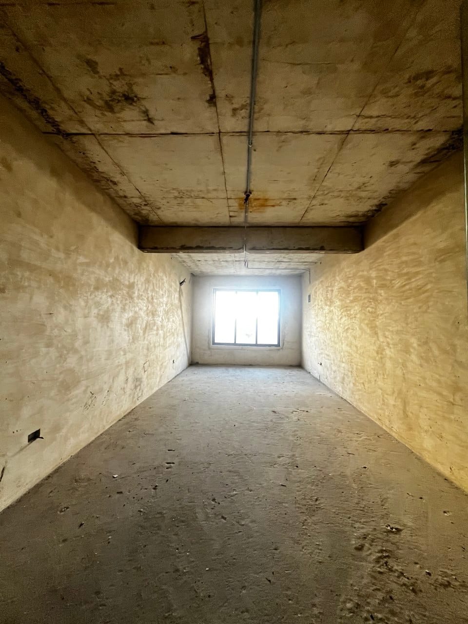 photo_6044223702783691801_y