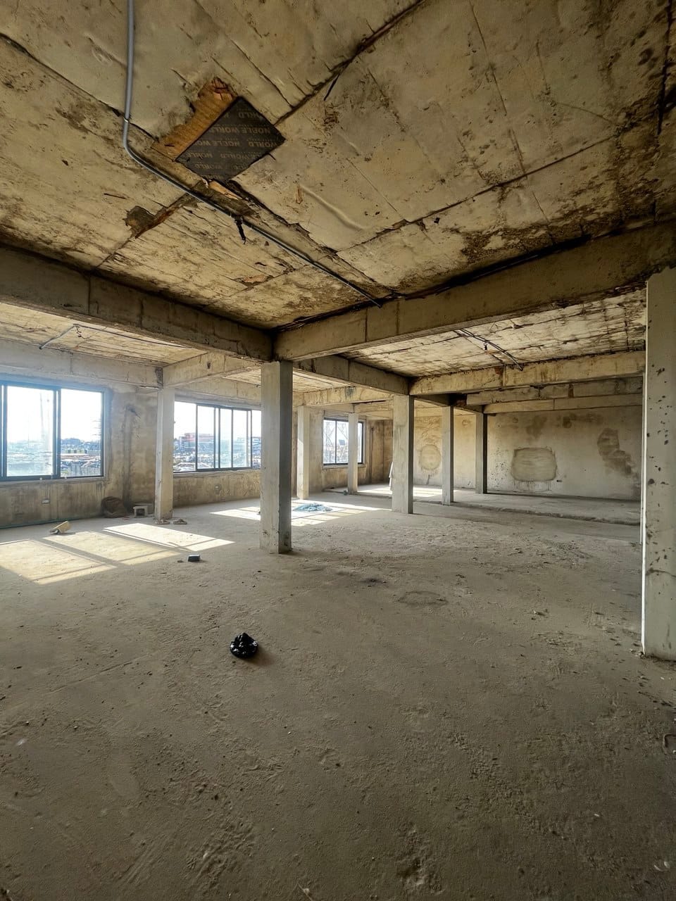 photo_6044223702783691803_y