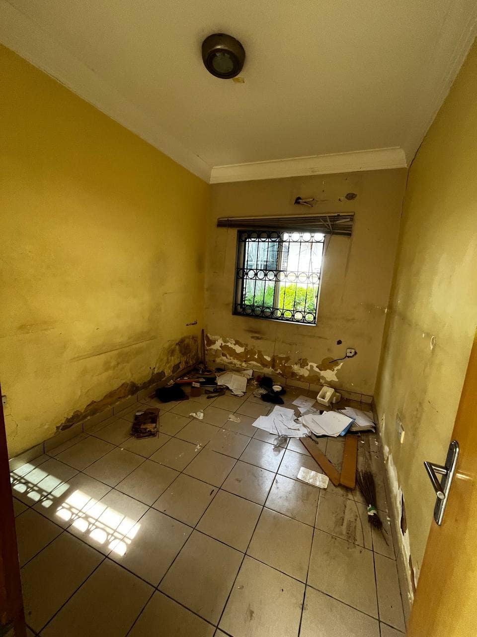 photo_5809935556069231475_y