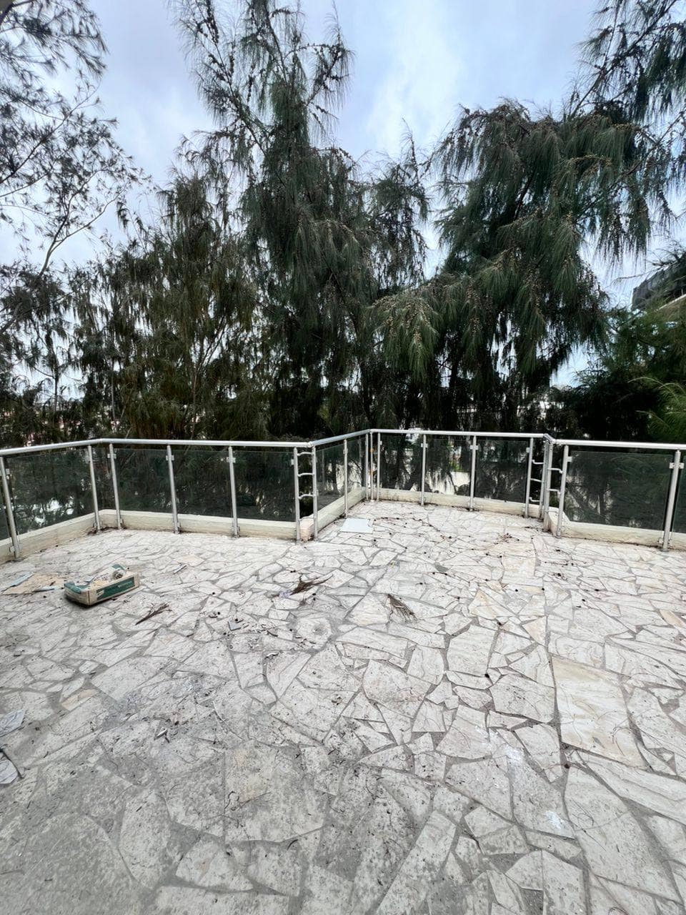 photo_5816537547868408983_y