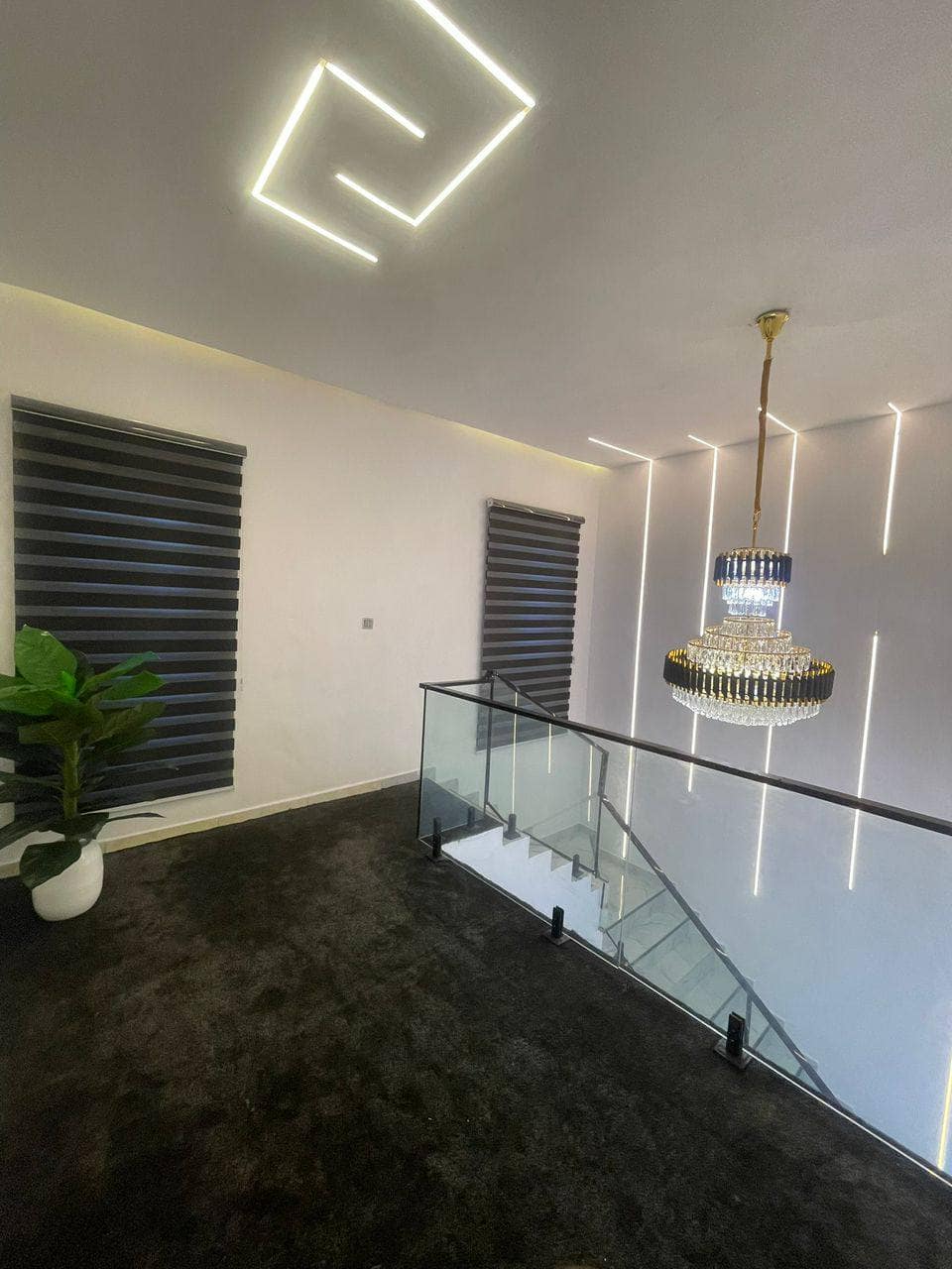 photo_5854848523004743233_y