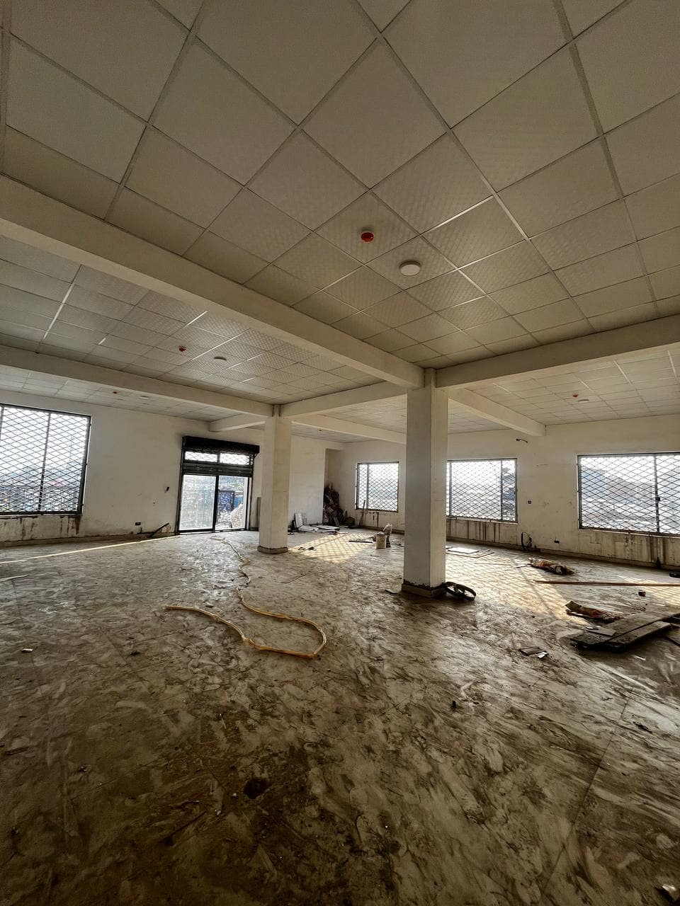 photo_5895405504043879315_y