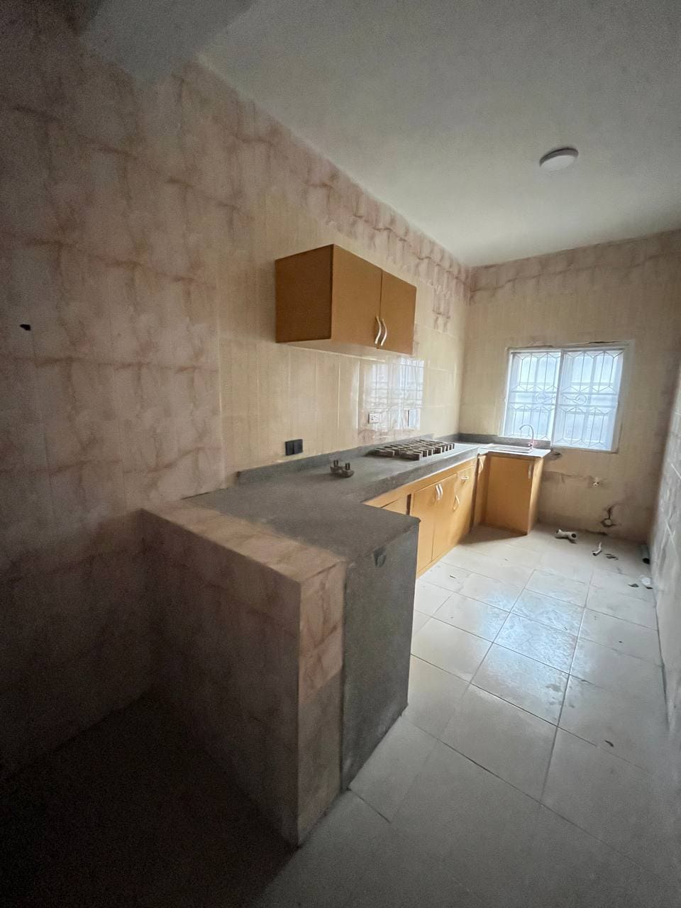 photo_5916005563059866516_y