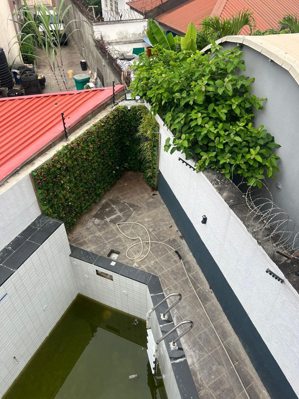 photo_5979085618887199825_y