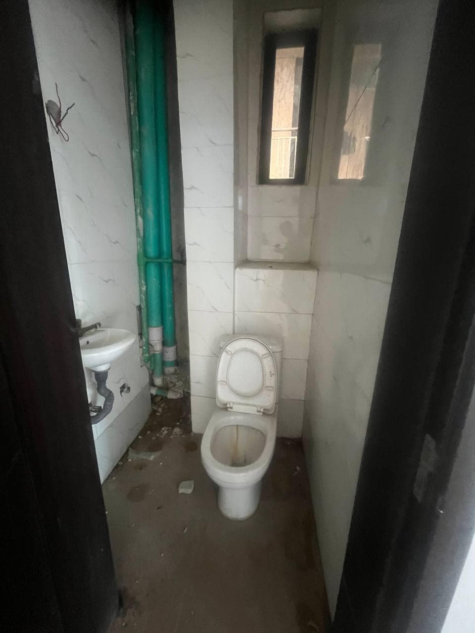 photo_6003497813565705155_y