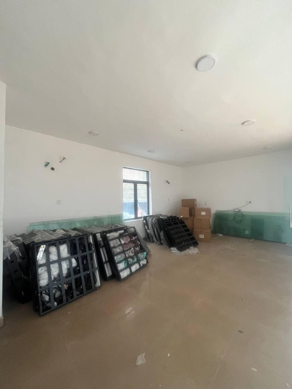 photo_6003497813565705157_y