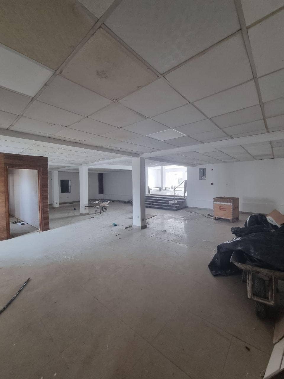 photo_6003497813565705158_y