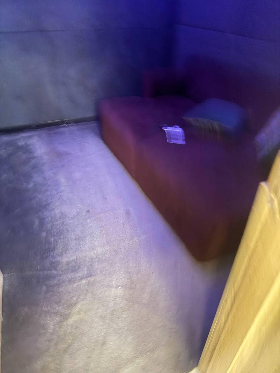 photo_6012865347691678562_y