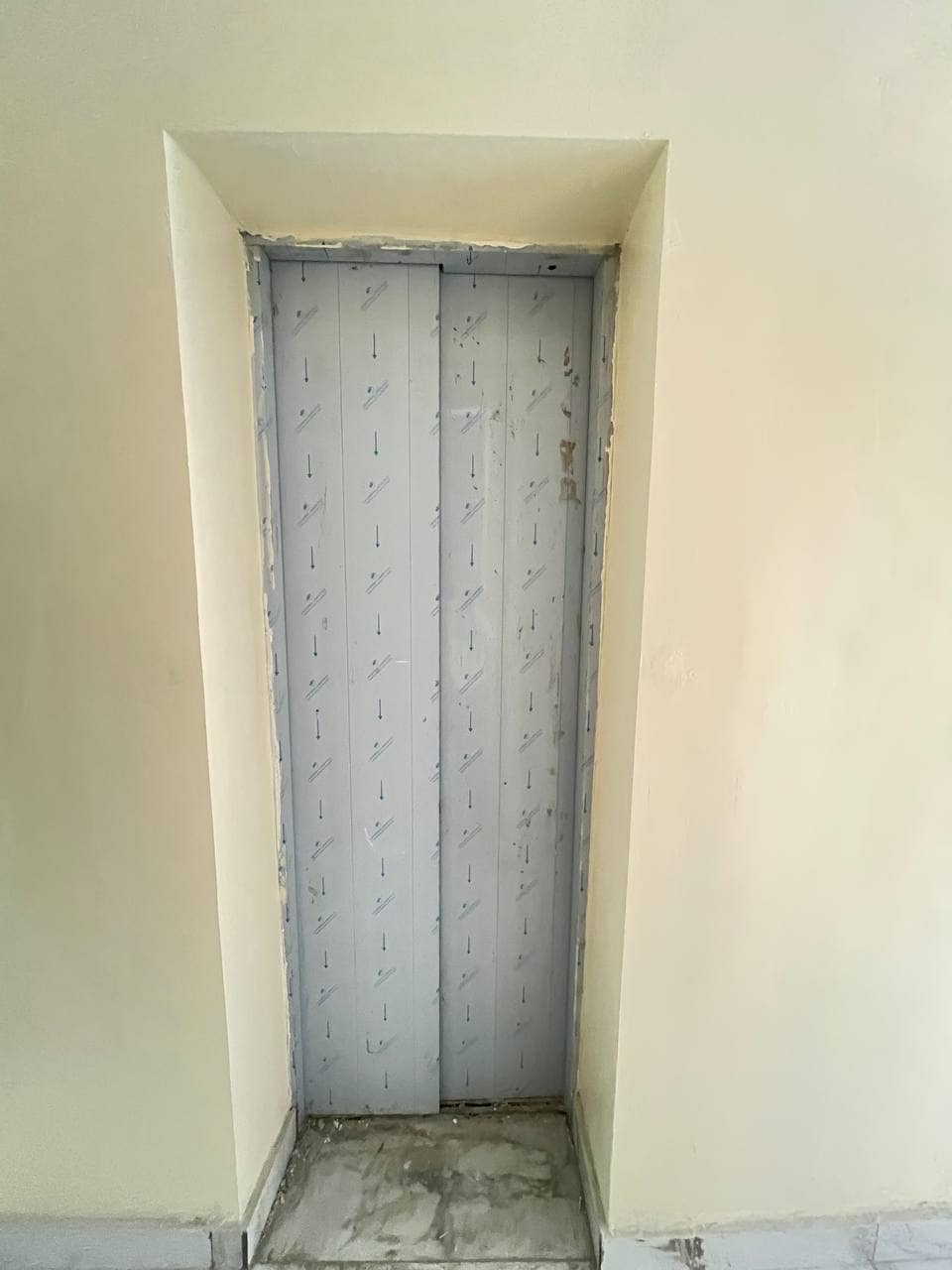 photo_6012865347691678575_y