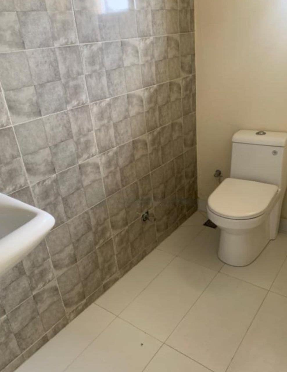 photo_6023899694196967643_y